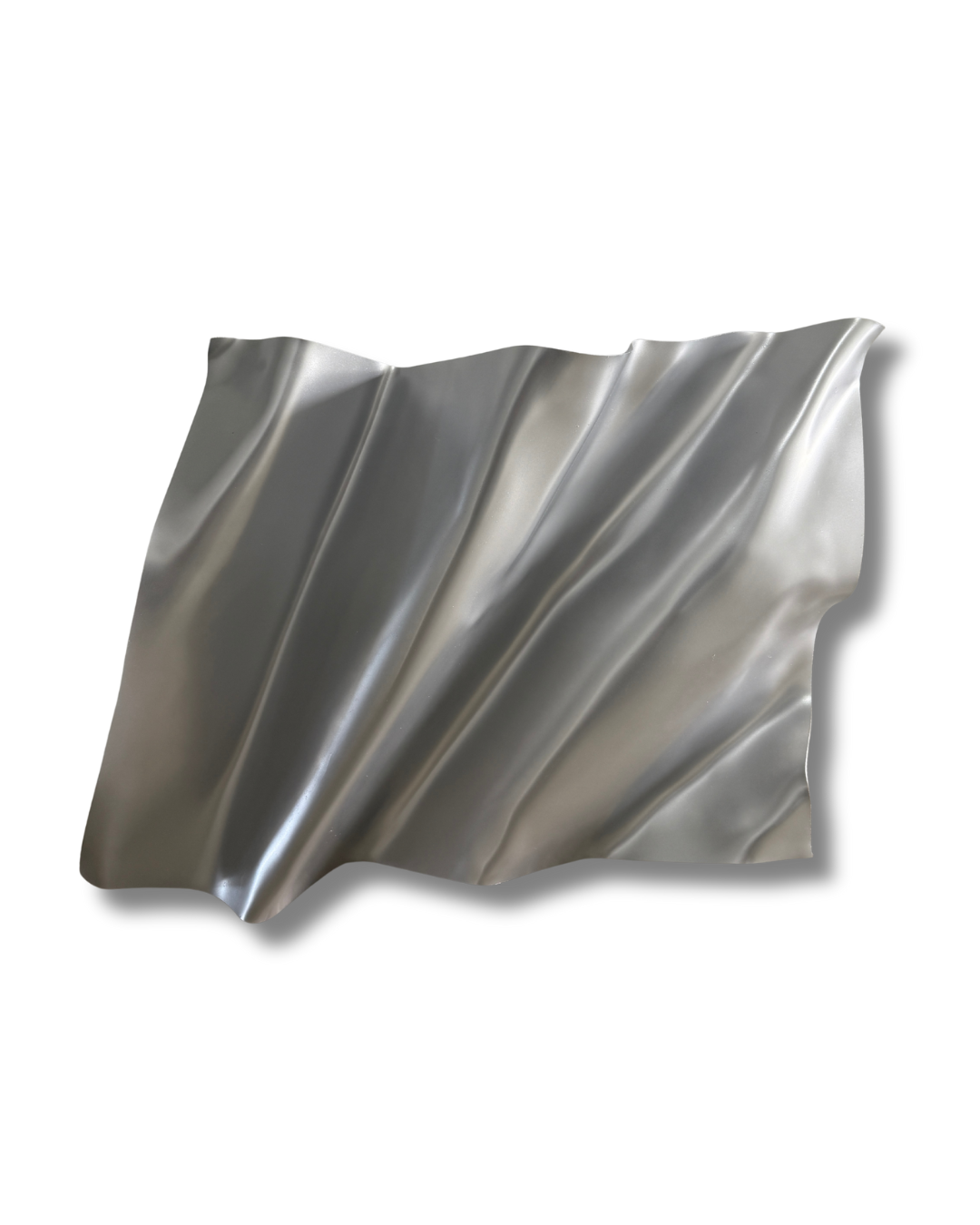 Chrome Matte Silver 3D Wall Sculpture