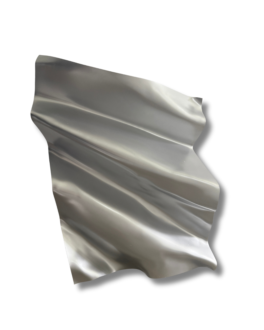 Chrome Matte Silver 3D Wall Sculpture