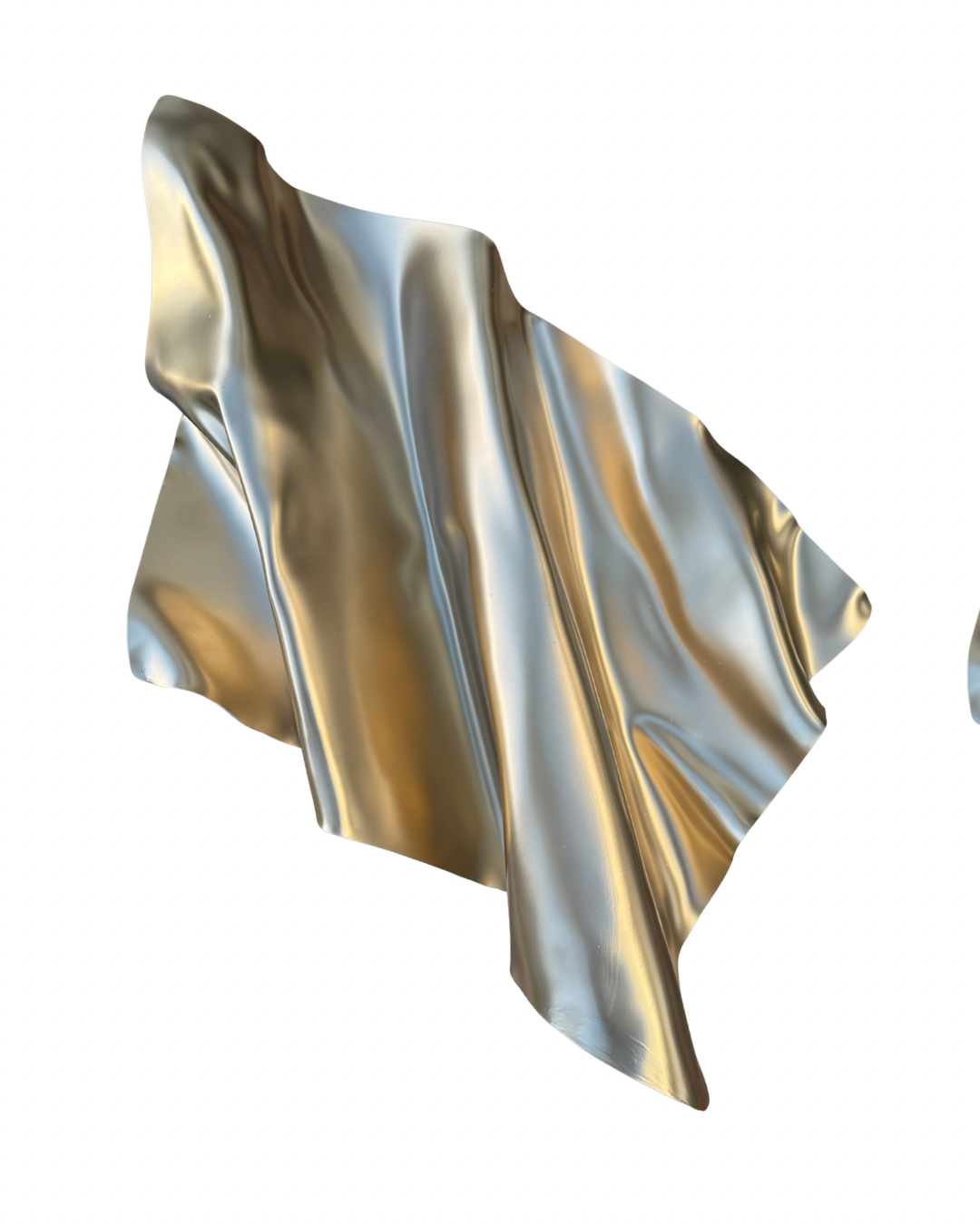 Metallic Golden 3D wall sculpture
