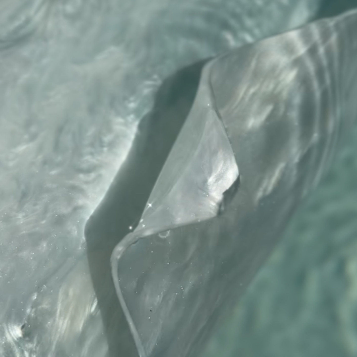 Oceana 3D Wall Sculpture