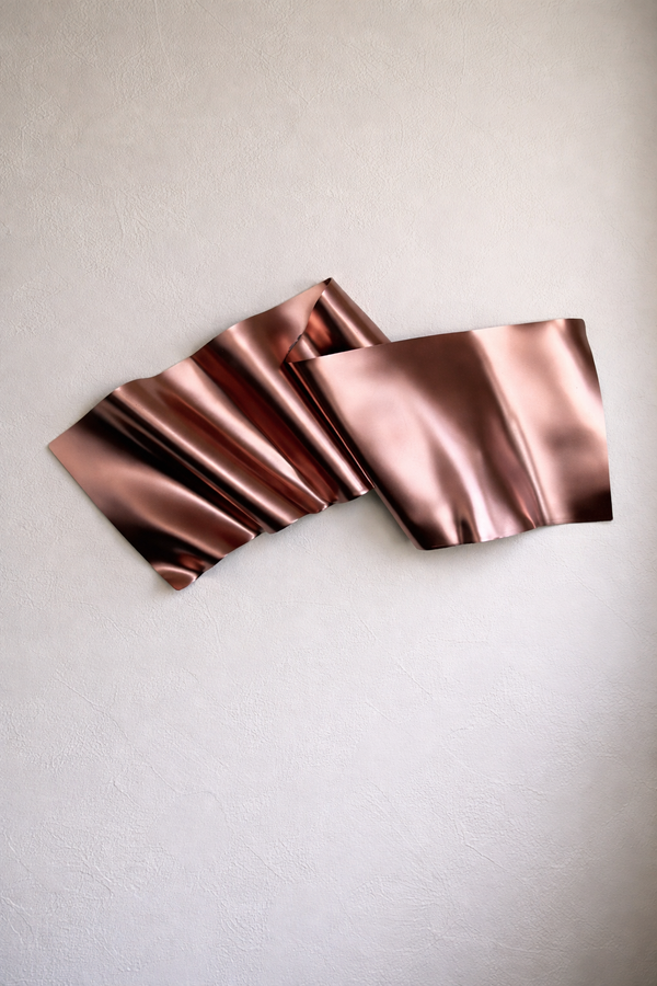 Driftwood 3D Wall Sculpture