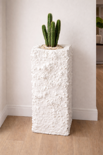 Plaster Textured Plinth Planter