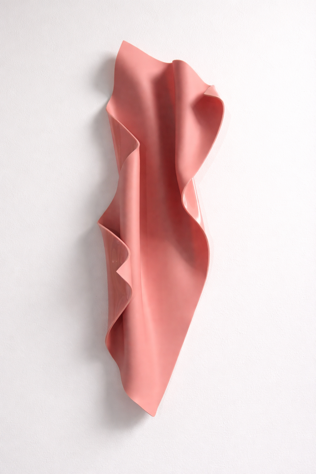 Dusty Rose 3D Wall Sculpture